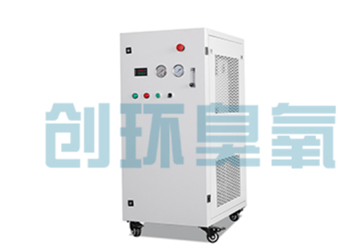北戴河石斑鱼养殖水质调控完整指南:臭氧发生器配置与操作步骤